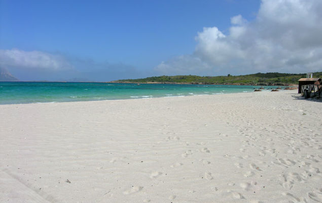 Dalila (PIS610) - Photo 1