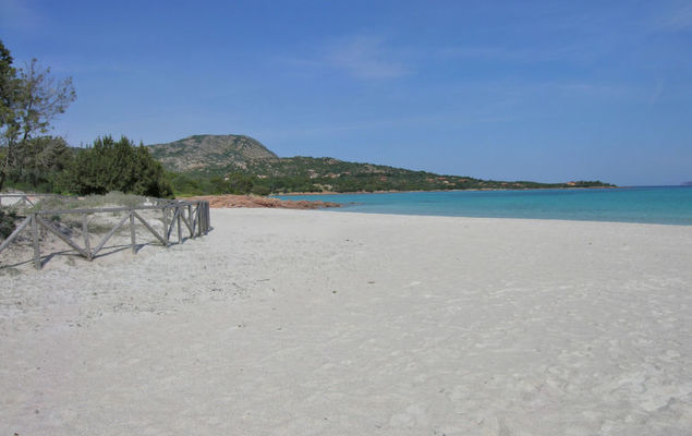 Dalila (PIS610) - Photo 3