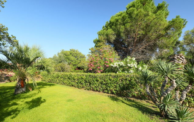 Dalila (PIS610) - Photo 6