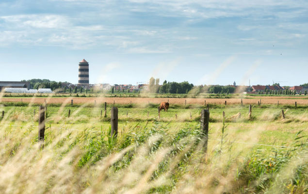 Blutsyde Promenade - Photo 8