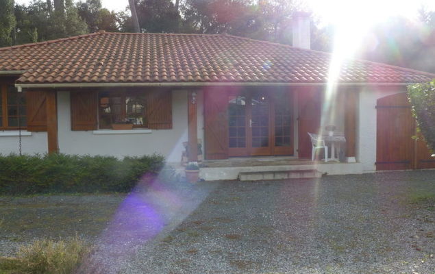 Marguerite - Photo 9