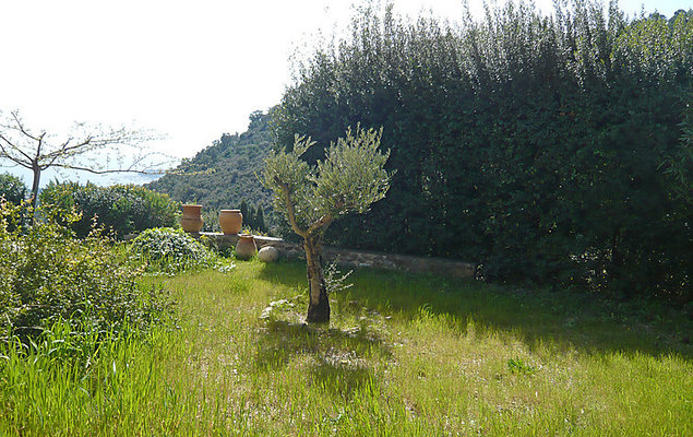 Domaine des Collieres - Photo 3