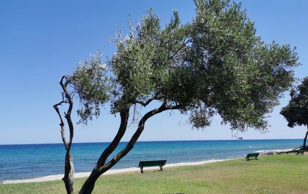 Paesolu Di Prunete - Photo 1