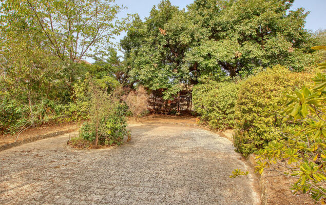 L'Arbousier - Photo 7