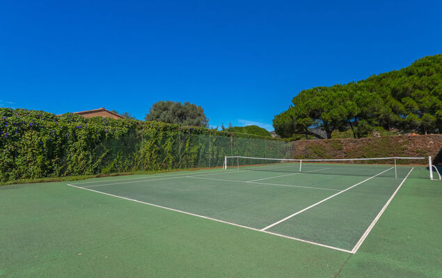 Les Mimosanes - Photo 24