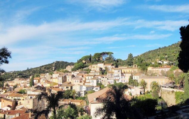 Les Mimosanes - Photo 25