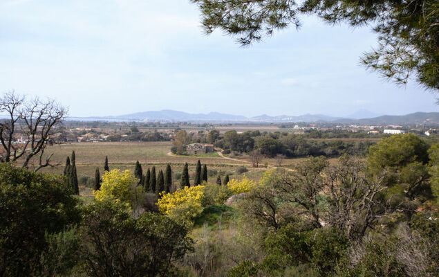 Le Belvédère - Photo 35