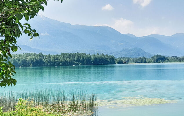 Seehaus Blue Faak - Photo 33