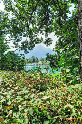 Seehaus Blue Faak - Photo 34