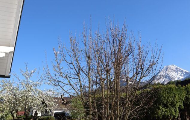 Seehaus Blue Faak - Photo 41