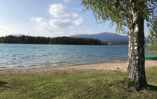 Seehaus Blue Faak - Photo 48