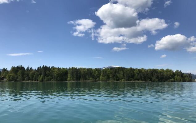 Seehaus Blue Faak - Photo 49