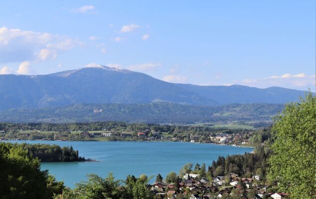 Seehaus Blue Faak - Photo 82