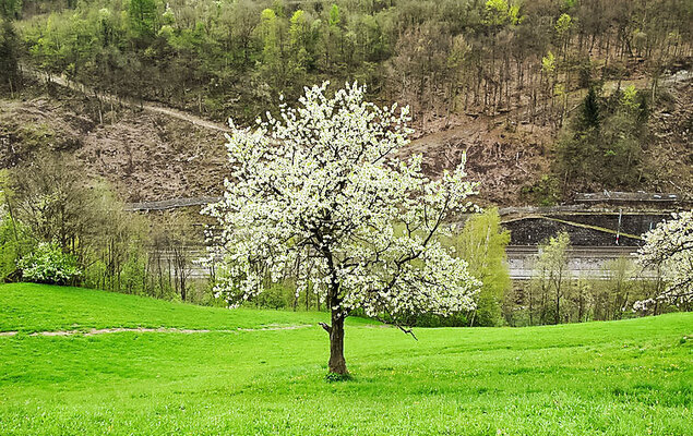 Achtalgut - Photo 18